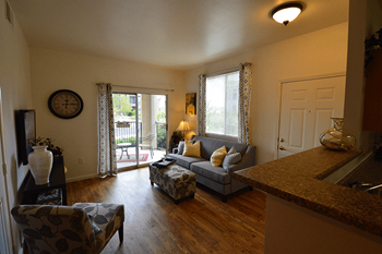 Living room with patio door